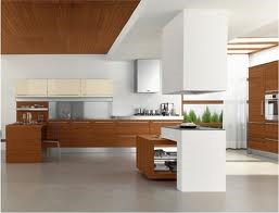Modern Kitchens: Modern Kitchens by Red Cedar