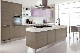 Modern Kitchens: Modern Kitchens by Red Cedar